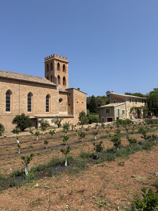 Steinkirche mit Orangengarten auf Mallorca